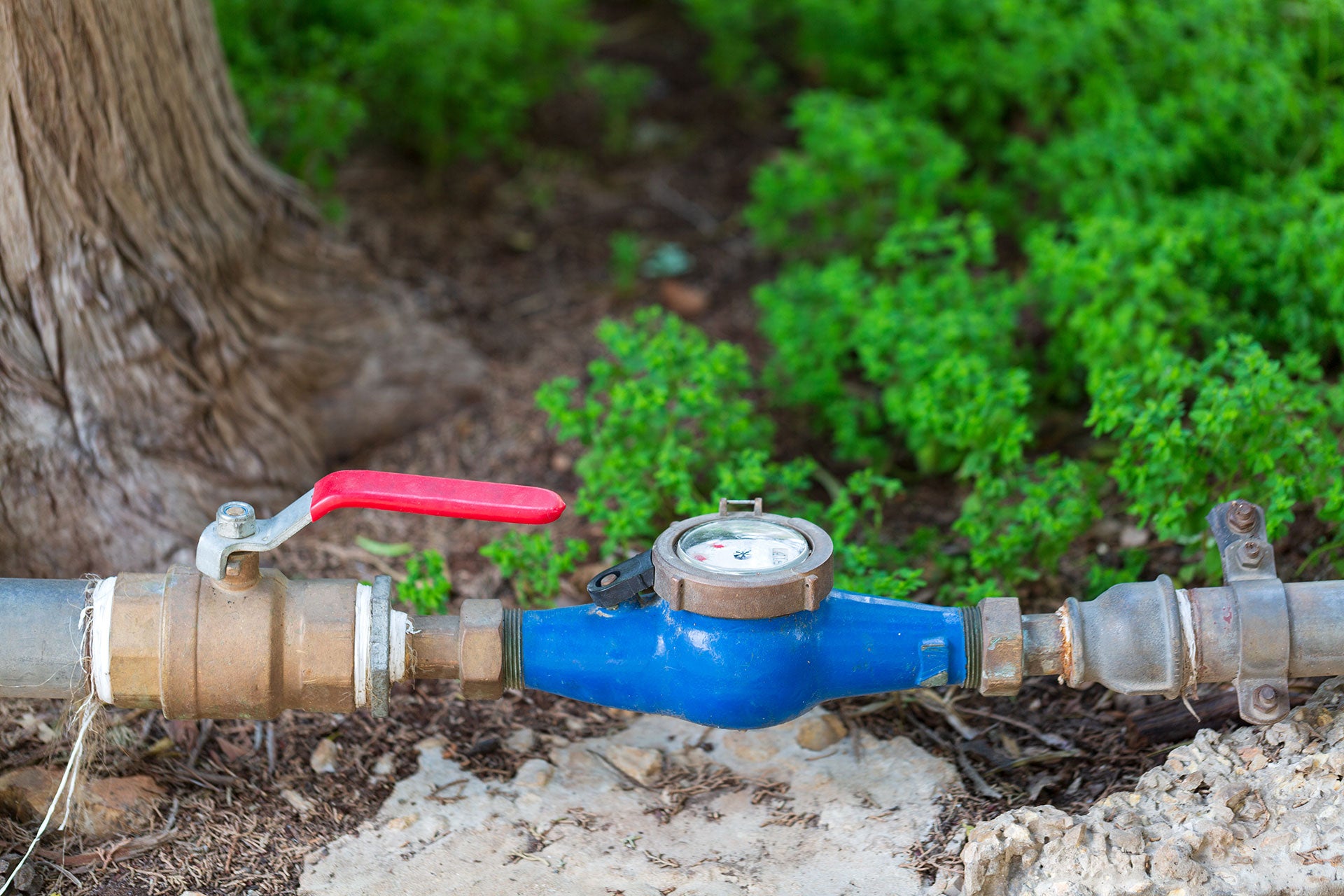 Water valve in a backyard