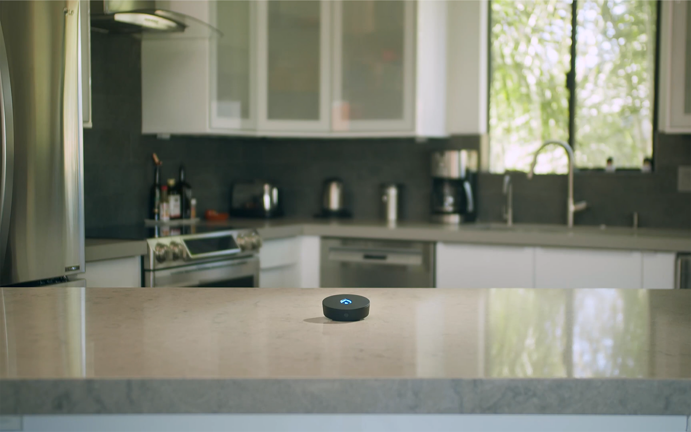 Phyn Smart Water Sensor