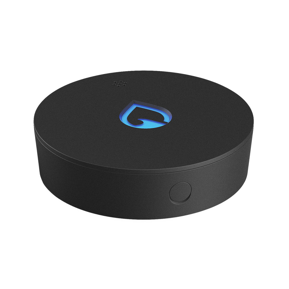 Phyn Smart Water Sensor