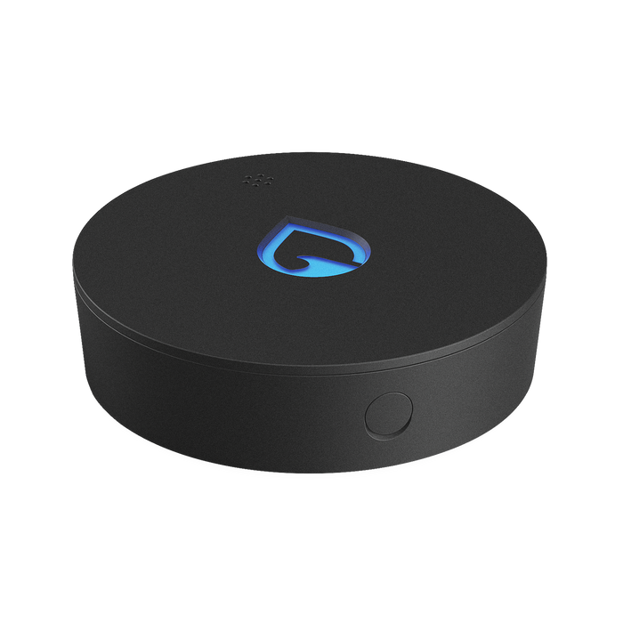 Phyn Smart Water Sensor